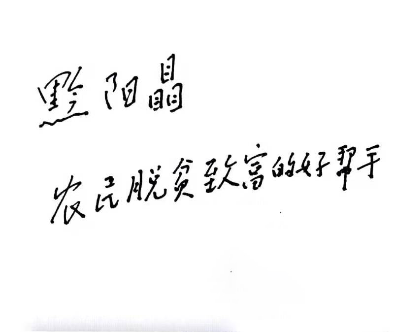 洪江市禹甜科技有限公司,黔陽(yáng)瞐農(nóng)產(chǎn)品的批發(fā)零售